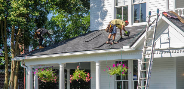 Best Roof Gutter Cleaning  in Continental, OH